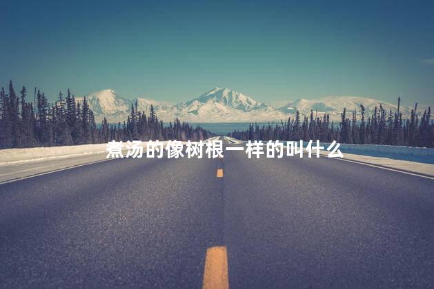 煮汤的像树根一样的叫什么