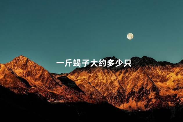 一斤蝎子大约多少只