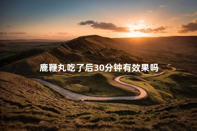 鹿鞭丸吃了后30分钟有效果吗
