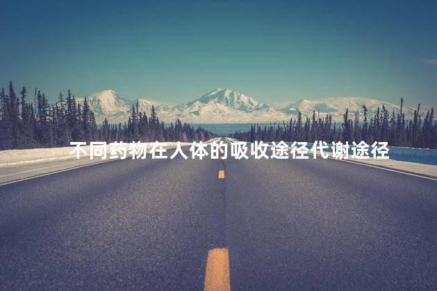 不同药物在人体的吸收途径代谢途径