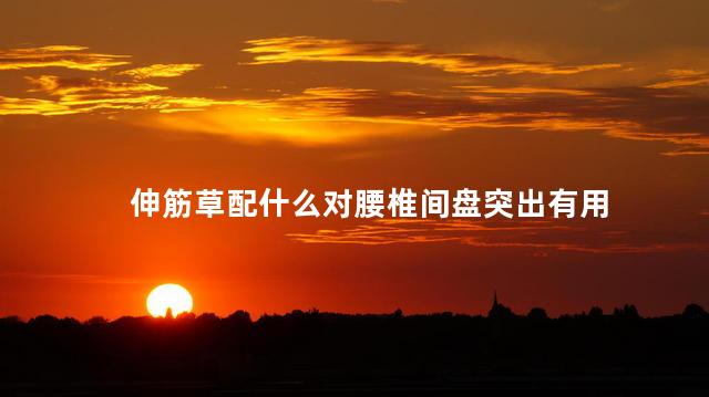 伸筋草配什么对腰椎间盘突出有用