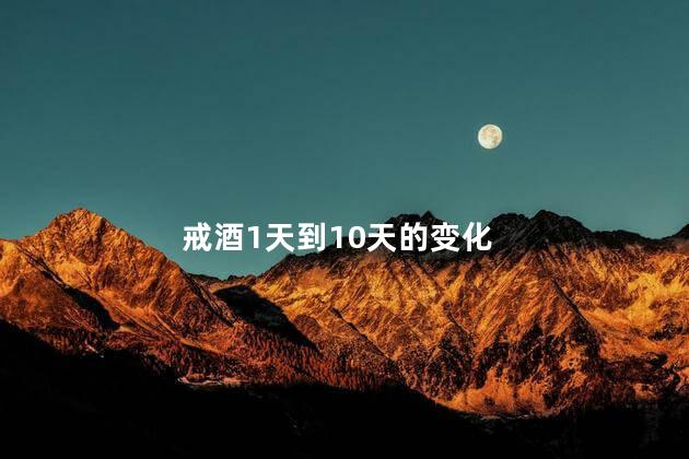 戒酒1天到10天的变化