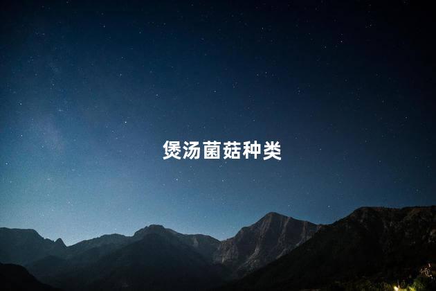煲汤菌菇种类