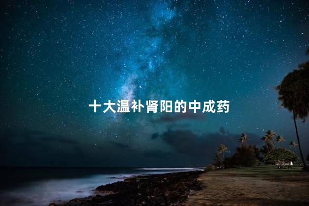十大温补肾阳的中成药