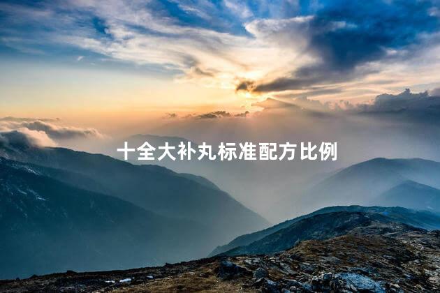 十全大补丸标准配方比例