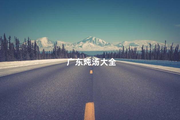广东炖汤大全