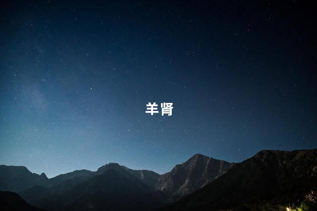 羊肾
