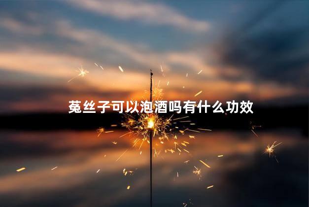 菟丝子可以泡酒吗有什么功效