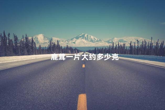 鹿茸一片大约多少克