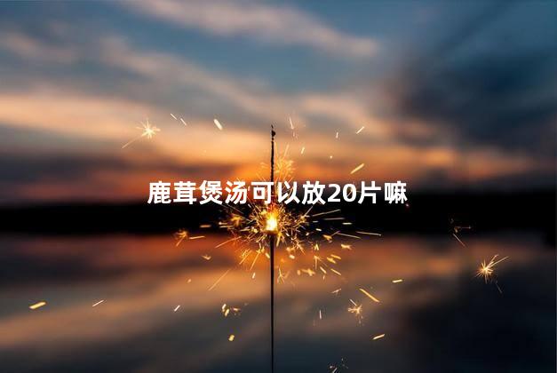 鹿茸煲汤可以放20片嘛