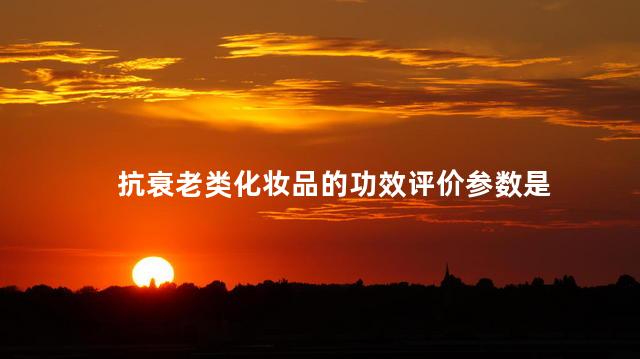 抗衰老类化妆品的功效评价参数是