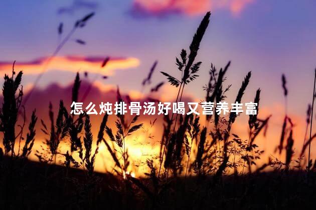 怎么炖排骨汤好喝又营养丰富