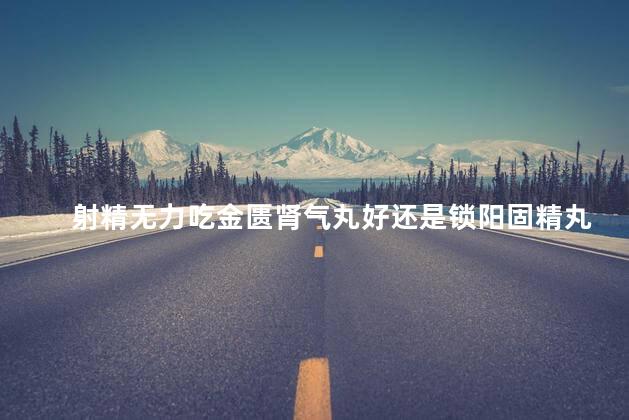射精无力吃金匮肾气丸好还是锁阳固精丸好