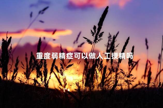 重度弱精症可以做人工授精吗