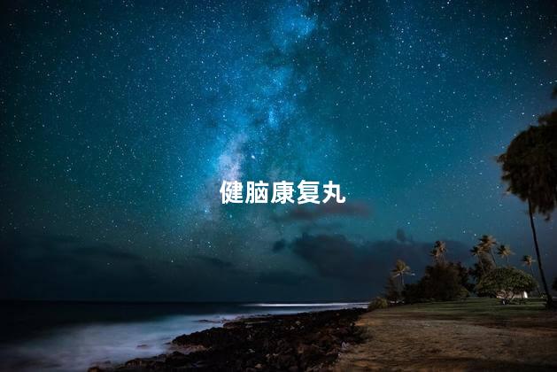 健脑康复丸