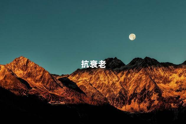 抗衰老