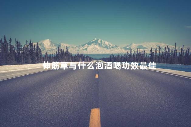 伸筋草与什么泡酒喝功效最佳