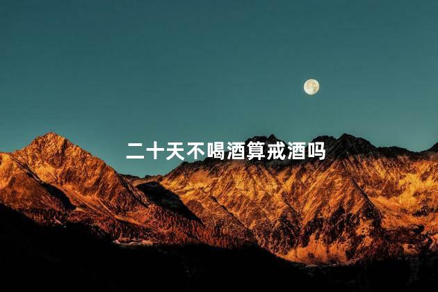 二十天不喝酒算戒酒吗