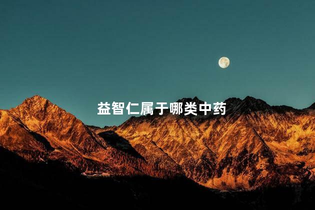 益智仁属于哪类中药