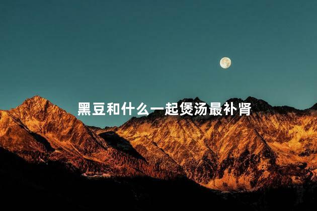 黑豆和什么一起煲汤最补肾