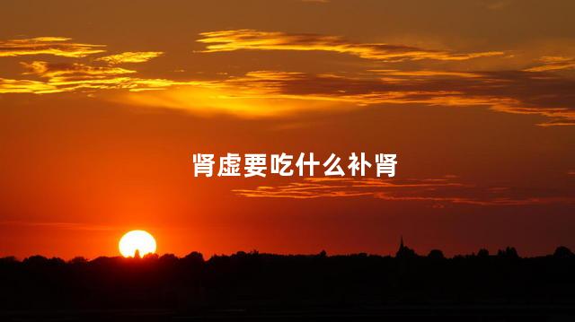 肾虚要吃什么补肾