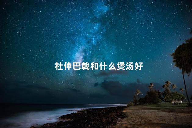 杜仲巴戟和什么煲汤好