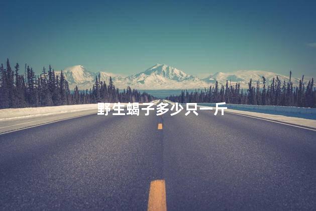 野生蝎子多少只一斤
