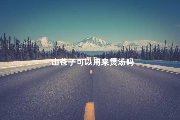 山苍子可以用来煲汤吗