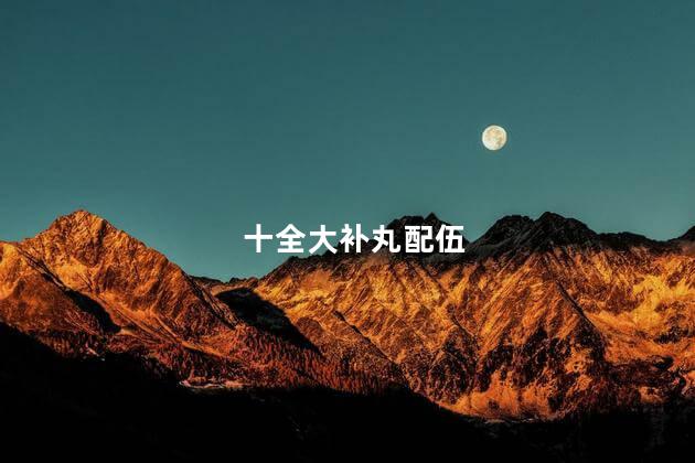 十全大补丸配伍
