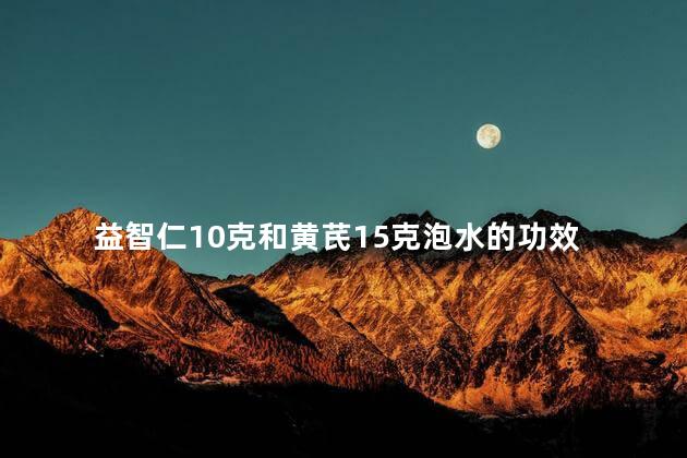 益智仁10克和黄芪15克泡水的功效