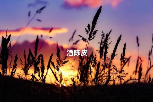 酒陈皮