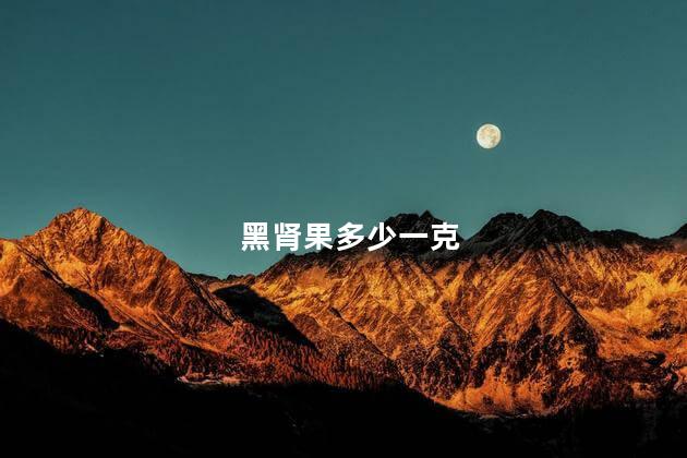 黑肾果多少一克