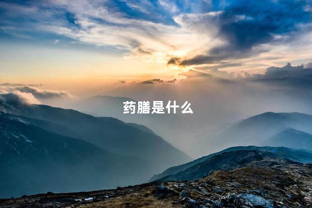 药膳是什么