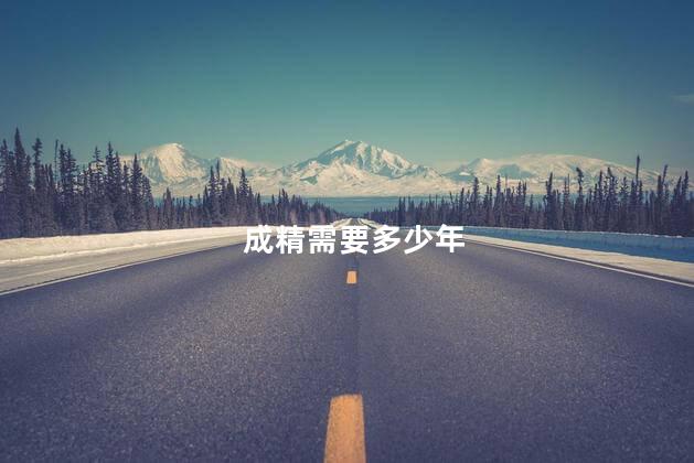 成精需要多少年