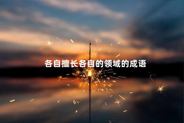 各自擅长各自的领域的成语