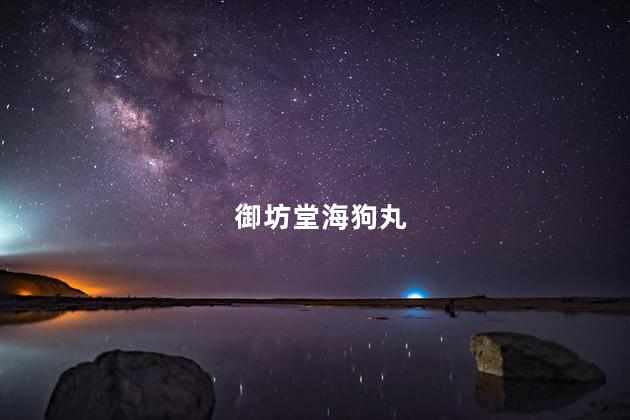 御坊堂海狗丸