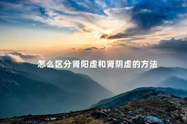 怎么区分肾阳虚和肾阴虚的方法