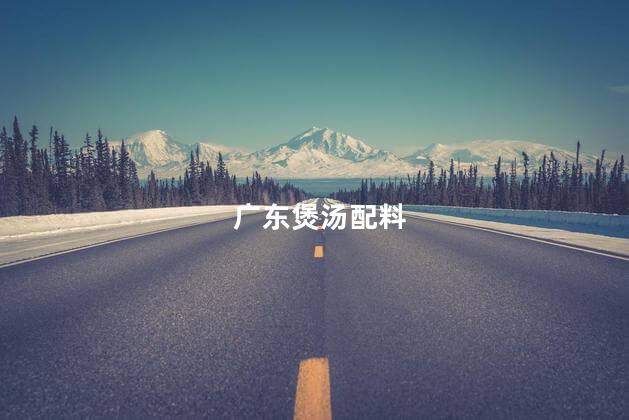 广东煲汤配料