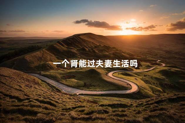 一个肾能过夫妻生活吗