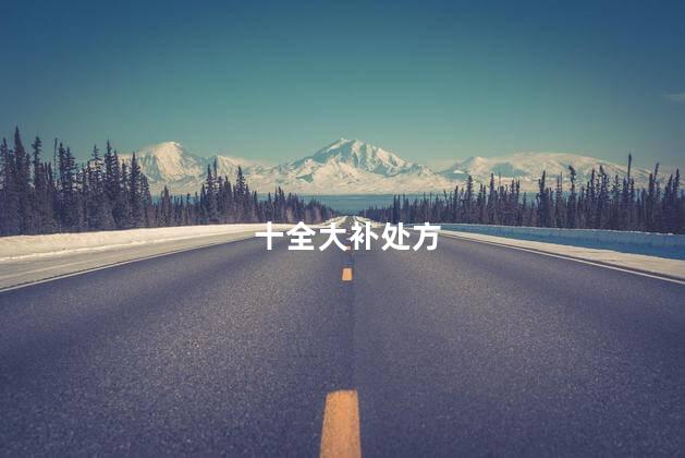 十全大补处方