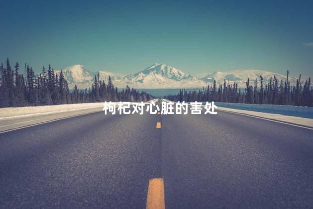 枸杞对心脏的害处
