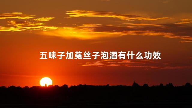 五味子加菟丝子泡酒有什么功效