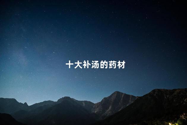 十大补汤的药材