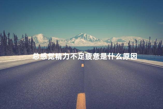 总感觉精力不足疲惫是什么原因