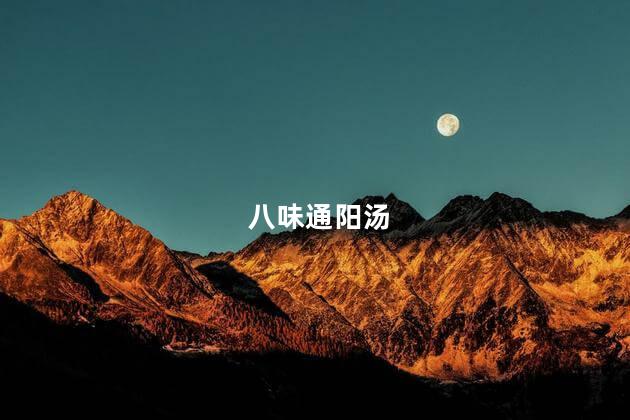 八味通阳汤