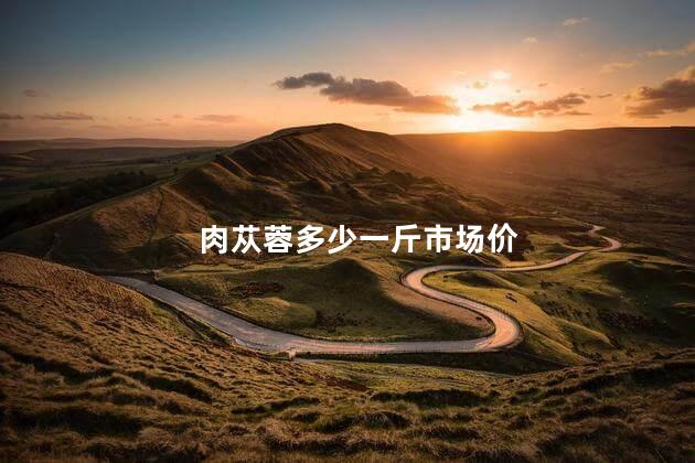 肉苁蓉多少一斤市场价