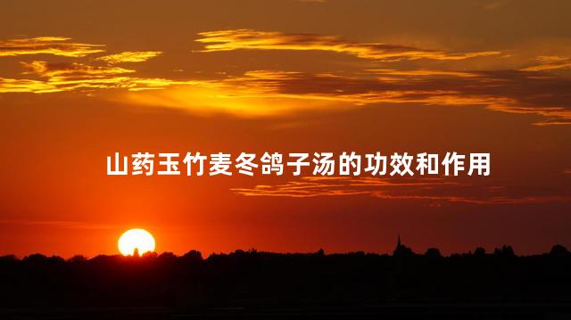 山药玉竹麦冬鸽子汤的功效和作用