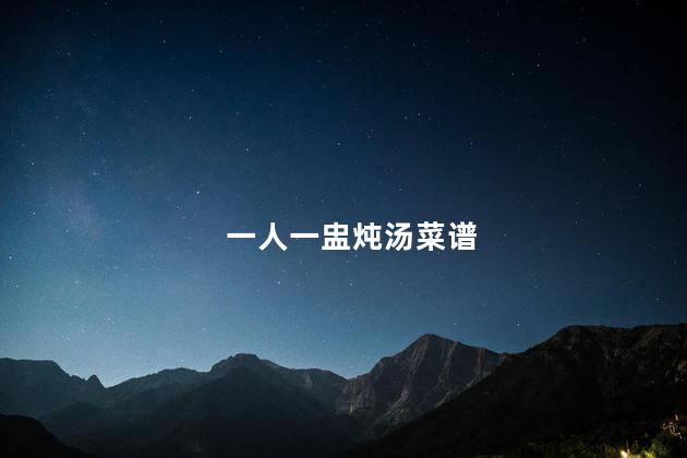 一人一盅炖汤菜谱