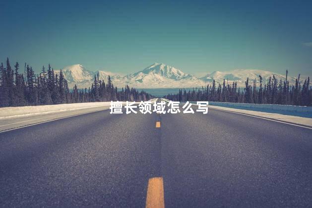 擅长领域怎么写