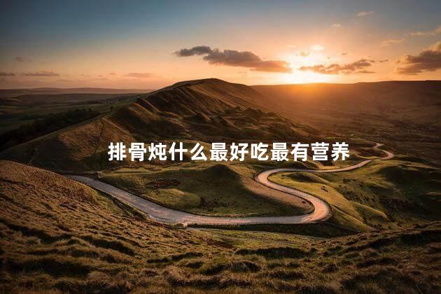 排骨炖什么最好吃最有营养